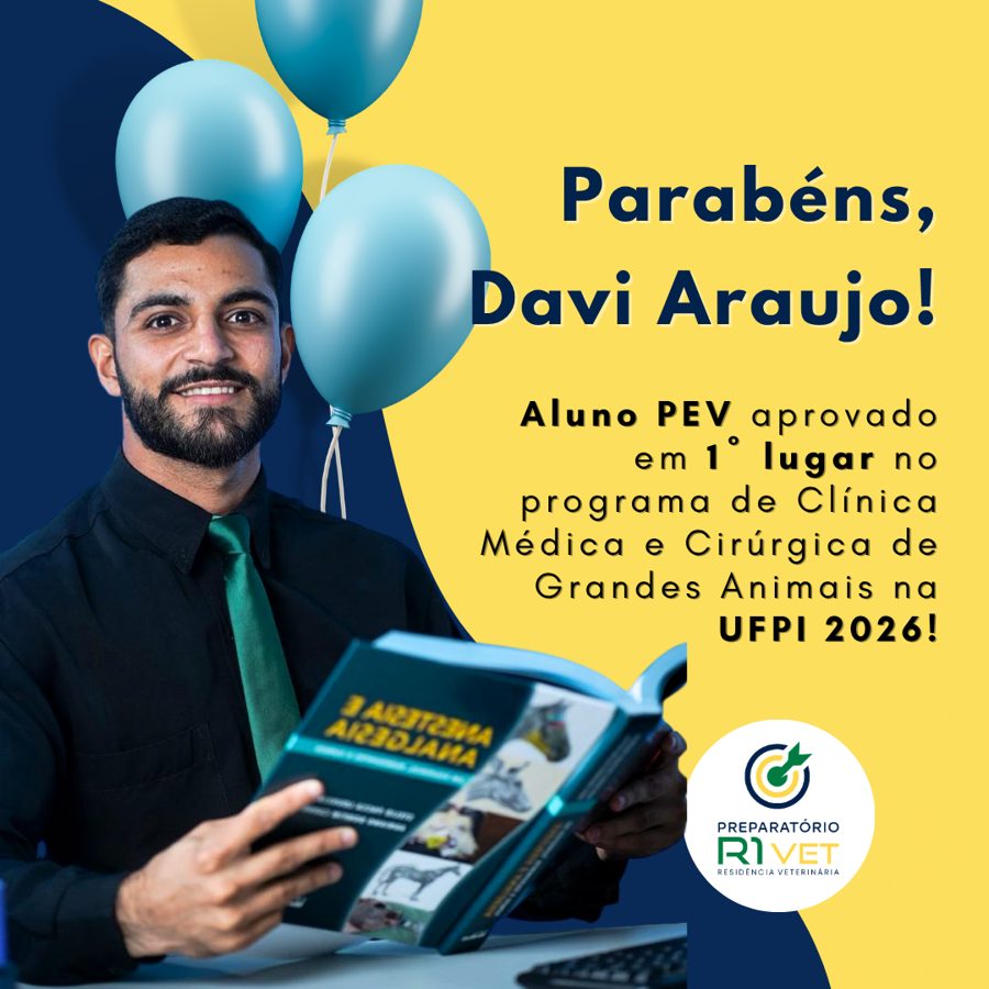 Davi Araujo — aprovada em UFPI